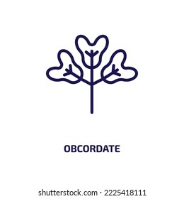 obcordate icon from nature collection. Thin linear obcordate, nature, subulate outline icon isolated on white background. Line vector obcordate sign, symbol for web and mobile