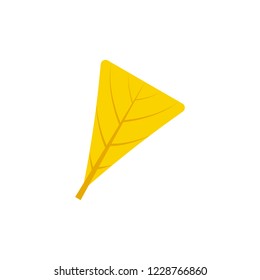 obdeltoid maple leaf flat icon on transparent background