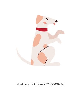 obedient dog pet icon isolated