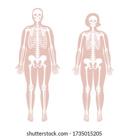 La mujer obesa y el hombre esqueletonan la anatomía en la vista frontal. Vector aislado de ilustración plana de calavera gorda y huesos humanos en el cuerpo. Banner de Halloween, medicina, educación o ciencia