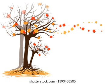 (Object) Big tree for autumn and colorful leaves.