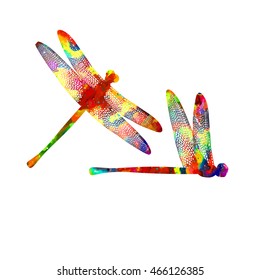 Object colored dragonfly on a white background. Vector
