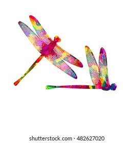 Object colored dragonfly on a white background. Vector