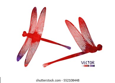 Object colored dragonfly on a white background. Vector