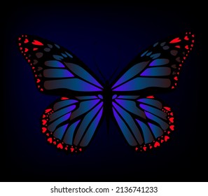 El objeto es una mariposa azul oscuro sobre un fondo oscuro. Ilustración del vector