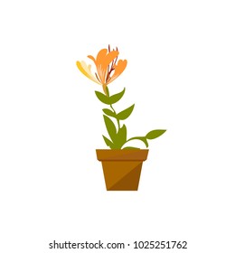 Object flower pot with flower. Vector