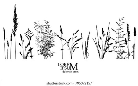 object grass silhouette. Vector - Shutterstock ID 795372157
