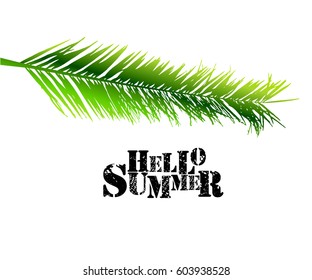 Object green palm leaf. Hello summer! Vector