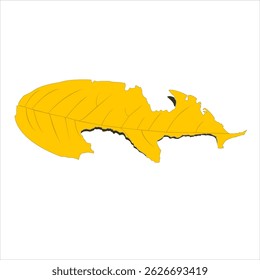 Object leaf pieces with vector design