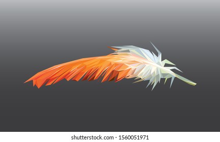 Object low poly vector of an orange-white feather in high details. With grey color background. EPS 10.
