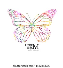Object multicolored beautiful butterfly