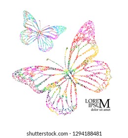 Bella mariposa objeto multicolor