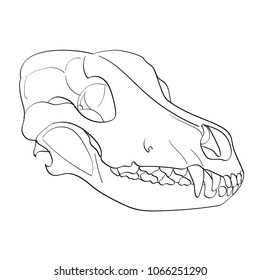 Object on white background skull dog sideways. Ccoloring for children. vector illustration