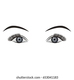 Object pair of eyes grey isolated, vector