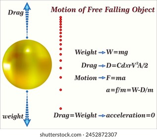 An object that is moving only because of the action of gravity is said to be free falling and its motion is described by Newton’s second law of motion. svg