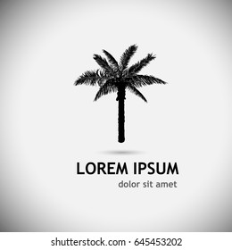 Object tracing palm tree. Vector