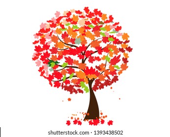 (Object)big tree for autumn and colorful leaves.