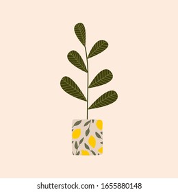 Objects for a cozy sweet home. home flowers and plants. minimalism, primitivism, abstraction. vector graphics, print, trend