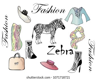 Objects for fashion design with Zebra pattern. Zebra, garments, bag on white background. Glamorous style.