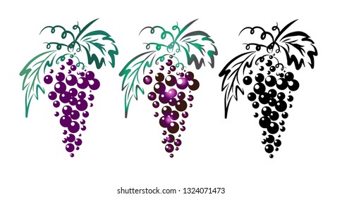 Objects of grapes. Vector