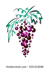 Objects of grapes. Vector