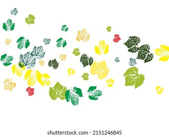 Objects isolated on white. Natural autumn, fall seamless pattern. Printing on fabric, card. Monochrome artistic floral collection. 