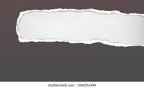 Oblong hole composition in dark grey paper with torn edges and soft shadow is on white background. Vector illustration