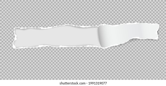 Oblong hole composition in squared paper with torn edges and soft shadow is on white background. Vector illustration