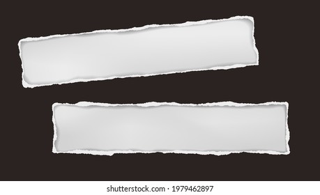 Oblong holes composition in black paper with torn edges and soft shadow are on white background. Vector illustration