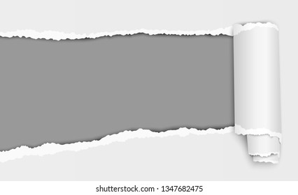 Oblong torn hole in white sheet of paper with shadow and paper curl. Dark gray of resulting background. Vector paper mock up.