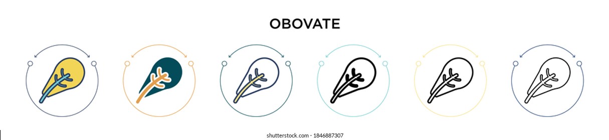 Obovate icon in filled, thin line, outline and stroke style. Vector illustration of two colored and black obovate vector icons designs can be used for mobile, ui, web