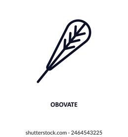 obovate icon. Thin line obovate icon from nature collection. Outline vector isolated on white background. Editable obovate symbol can be used web and mobile