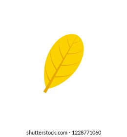 obovate maple leaf flat icon on transparent background