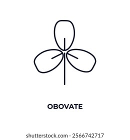 obovate outline icon. Linear vector from nature concept. Thin line obovate icon isolated on white background