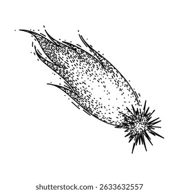 observation shooting star hand drawn. streak light, wish trail, atmosphere event observation shooting star vector sketch. isolated black illustration
