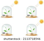 Observing the development of the plant, which is left in the lantern in four different ways, by being exposed to the sun's rays