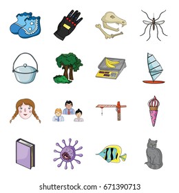 obvvozovanie, nature, shop and other web icon in cartoon style. fish, cat, animal icons in set collection.
