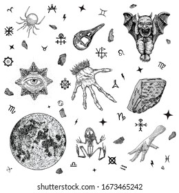 Alquimia oculta. Una bruja gótica satánica con uñas largas. Calavera de avena, gárgolo, esqueleto de sapo, ojo de providencia, araña venenosa, cristal mágico, pie de pollo, luna roja. Vector de brujería.