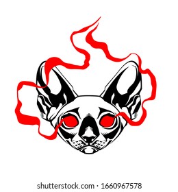 Occult Cat. Occult Cat's Head. Occultism. Esoteric Sign Alchemy. Occult Cat's Head on white background isolated. 