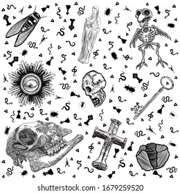 Occult Medieval Ancient Book Elements. Witchcraft Occultism Mystic Alchemy Symbols. Sacred Craft Art. Key, Human And Goat Skull, Eye, Crystal, Maria With Jesus, Cicada, Bird Skeleton, Cross. Vector. 