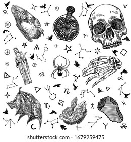 Okkulte mystische Alchemie-Hexerei-Elemente gesetzt. Vampirschläger, Drachen- oder Fledermausflügel, Heilige Maria, Baby Jesus, menschlicher Schädel, antike Flasche mit Tränke, Spinne, toter Vogel, Skelett Hand, Kristall. Vektorillustration. 