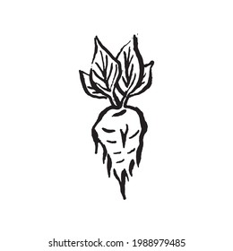  Occult mystic witch herbs for witchcraft hand drawn icon illustration