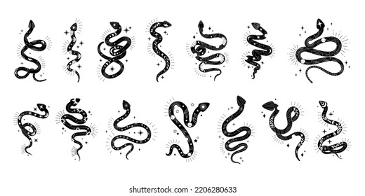 La serpiente oculta, la luna y las estrellas con flores y hojas, la silueta negra del reptil místico. Animales de alquimia celestial, emblema espiritual esotérico o logotipo. Conjunto de ilustraciones vectoriales de elementos de delimitación