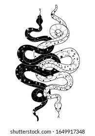 Occult Trendy Hand Drawn Illustration With Snake, Moon And Stars.