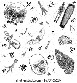 Occult witch magic design elements set. Witchcraft mystery symbols, coffin or casket  with skeleton, vampire bat, human skull, lizard, poison toad, frog, chicken foot, baby monster with fangs. Vector.