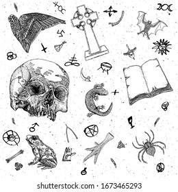 Occult witch magic design elements set. Hand drawn witchcraft mystery symbols, bird wing, grave stone, cross, vampire bat, human skull, lizard, book, toad, frog, chicken foot, poison spider. Vector.