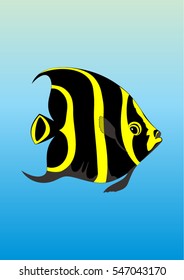 Oceah angel fish vector