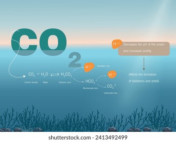 Ocean acidification process.chemical equation and consequences