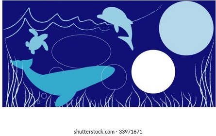Ocean animal.