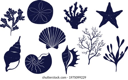 Ocean animals seashells, starfish, algae, corals, marine snails, hand-drawn vector illustration set 